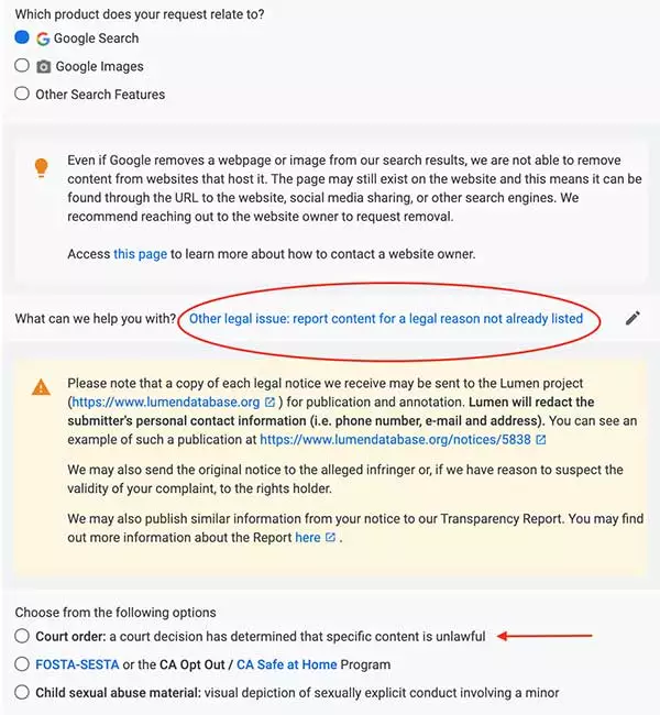 Removing content from Google other issue