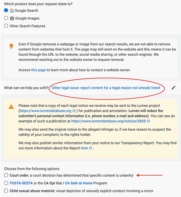 Removing content from Google other issue