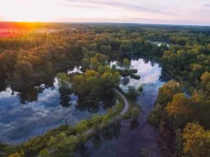 Michigan Defamation Law: Guide to Legal Remedies & Protection Featured Image