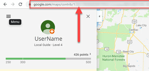 Locating fake Google review URL
