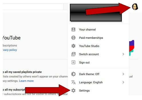 YouTube Privacy Settings