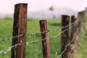 6 Powerful Defenses To Defamation Lawsuits: What You Need To Know Featured Image
