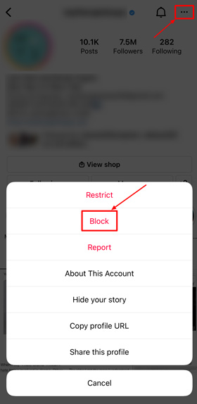 Block Instagram user