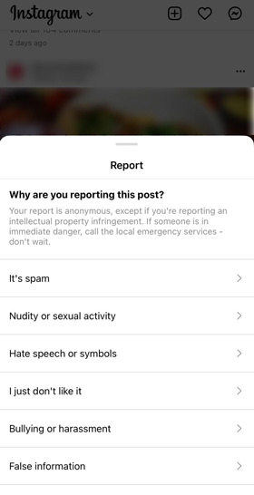 Reason you are reporting the IG post