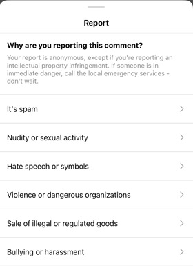 Reason for reporting Instagram comment
