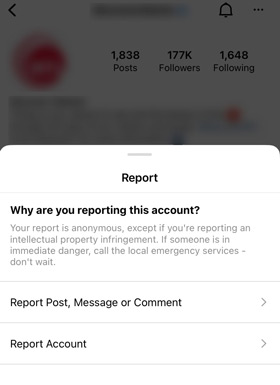 Reason for reporting Instagram account