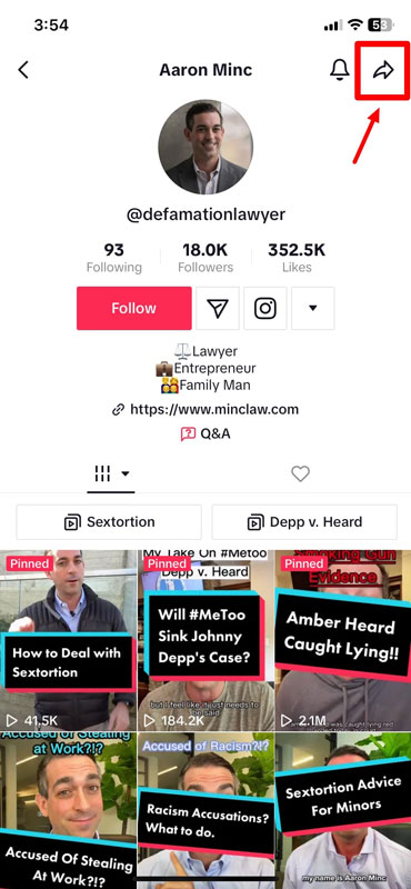 TikTok profile to report