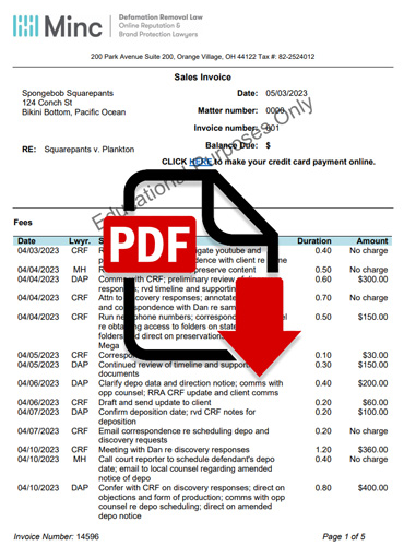 Screenshot of sample Minc Invoice with a PDF download icon overlay
