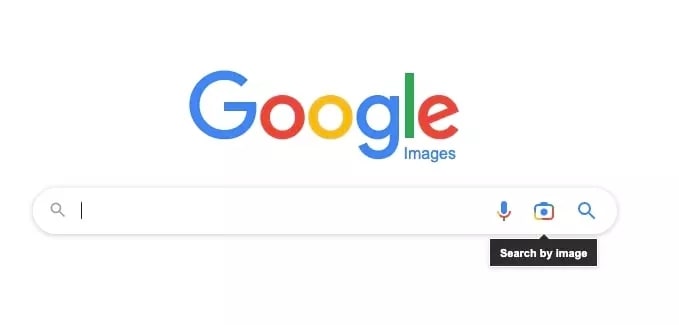 Screen capture of google search page showing image search icon on search bar.