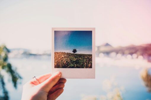 How to Permanently Remove Your Photos From Google Image Search Featured Image
