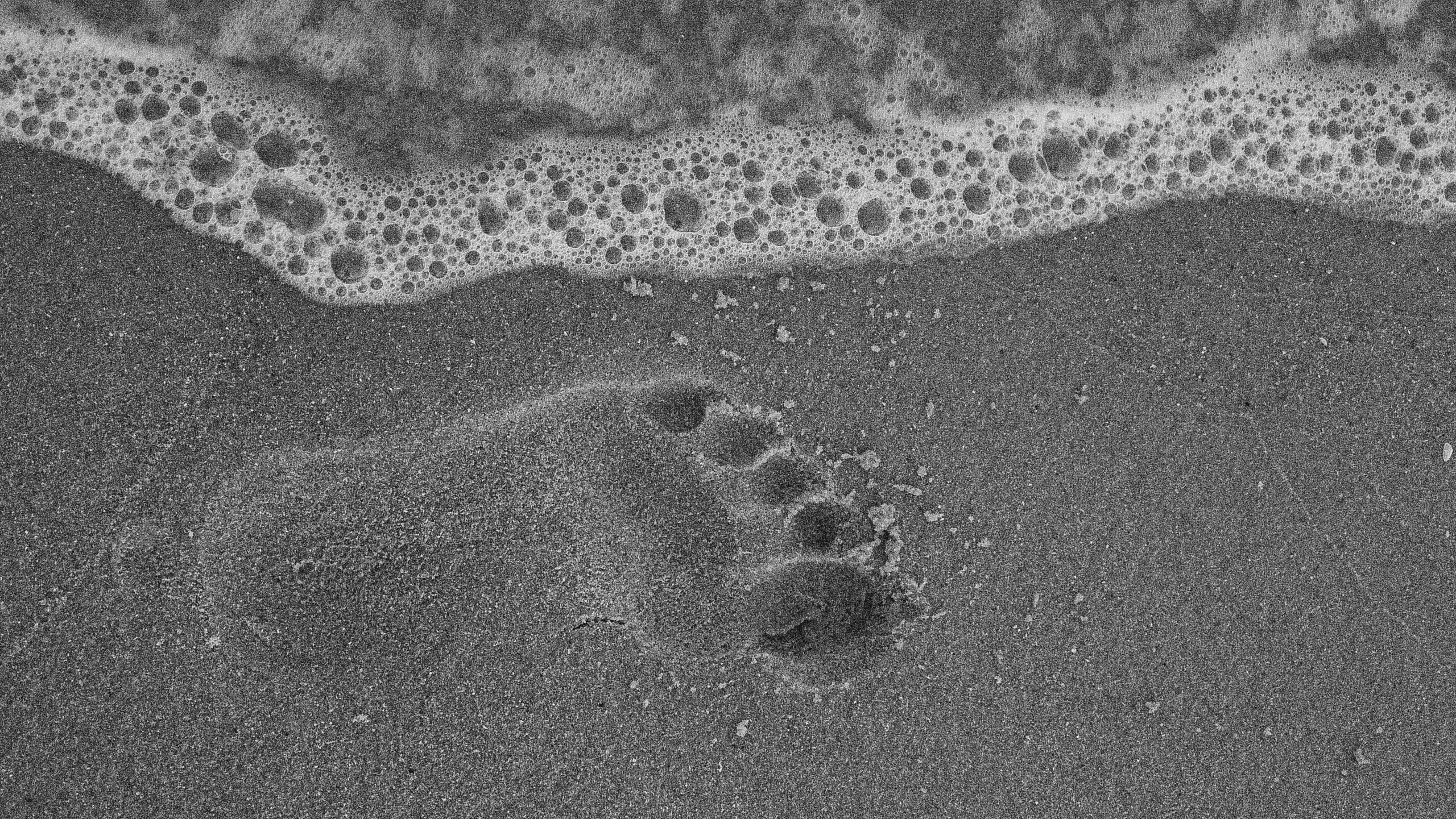 How to Clean Up Your Digital Footprint | Minc Law
