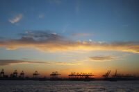 Next Post: How to Remove Reports & Complaints from OffshoreMonitor.com 