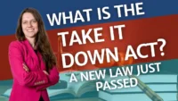 Next Post: The TAKE IT DOWN Act Is Now Law: What You Need to Know 